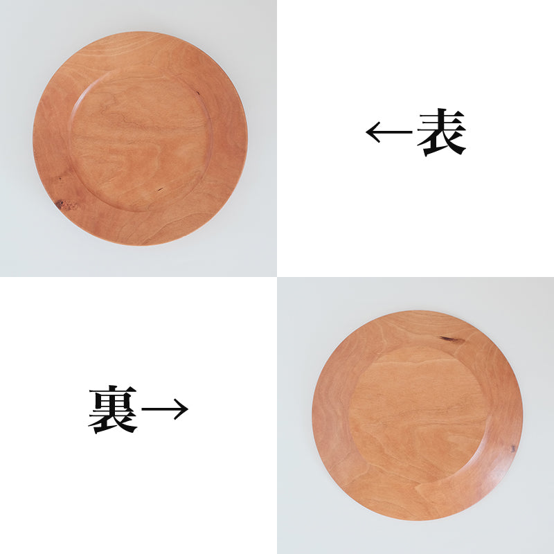 リムプレート 210