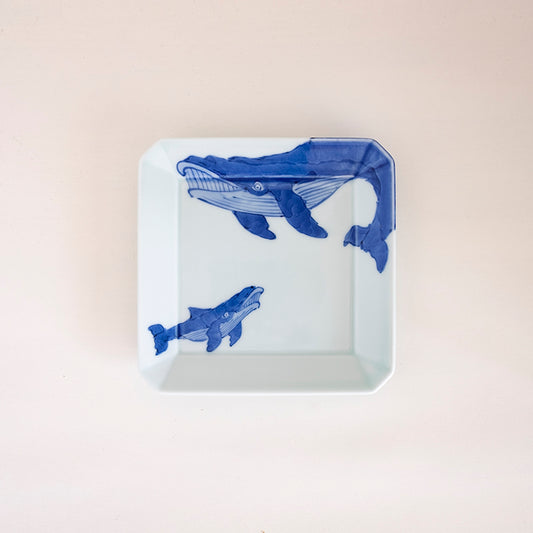 有田焼 染付ナガスくじら15㎝角皿