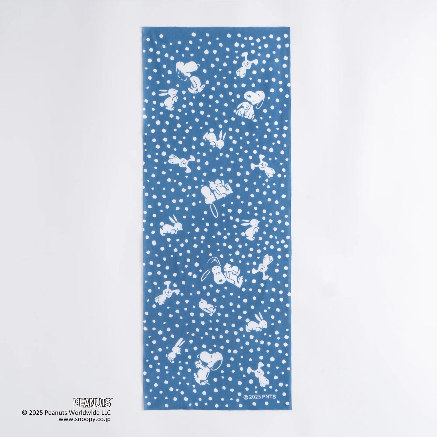 うさぎとスヌーピー