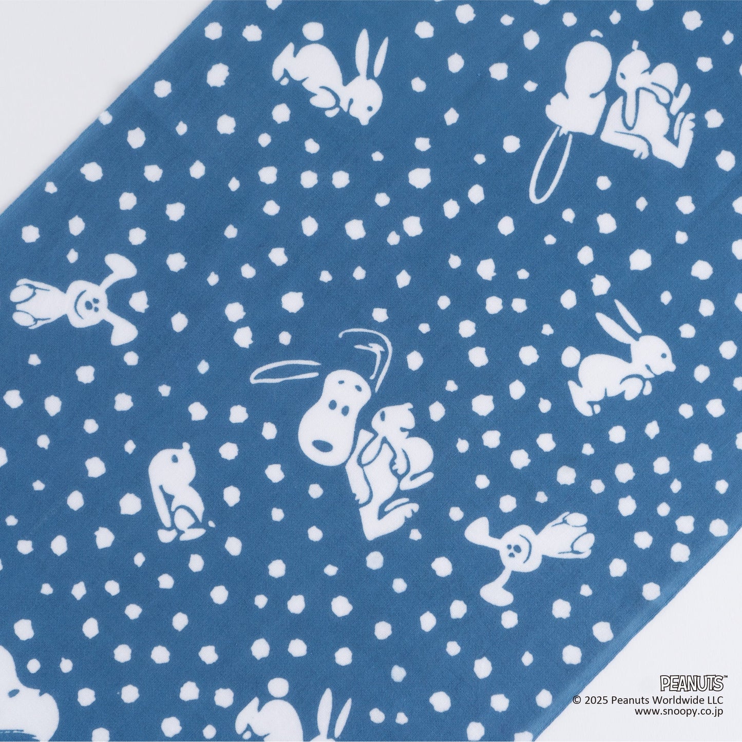 うさぎとスヌーピー