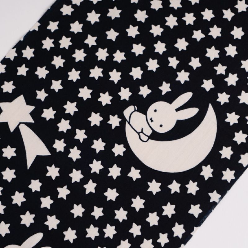 ミッフィーとお星さま