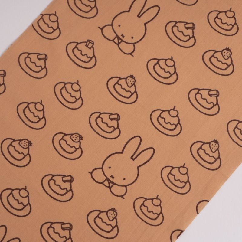 ケーキとミッフィー